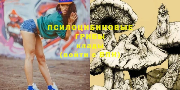 трава Армянск