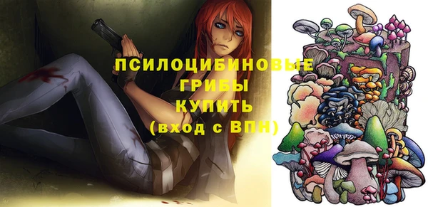 винт Аркадак