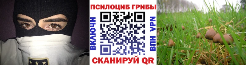 где продают   Октябрьск  Галлюциногенные грибы MAGIC MUSHROOMS 